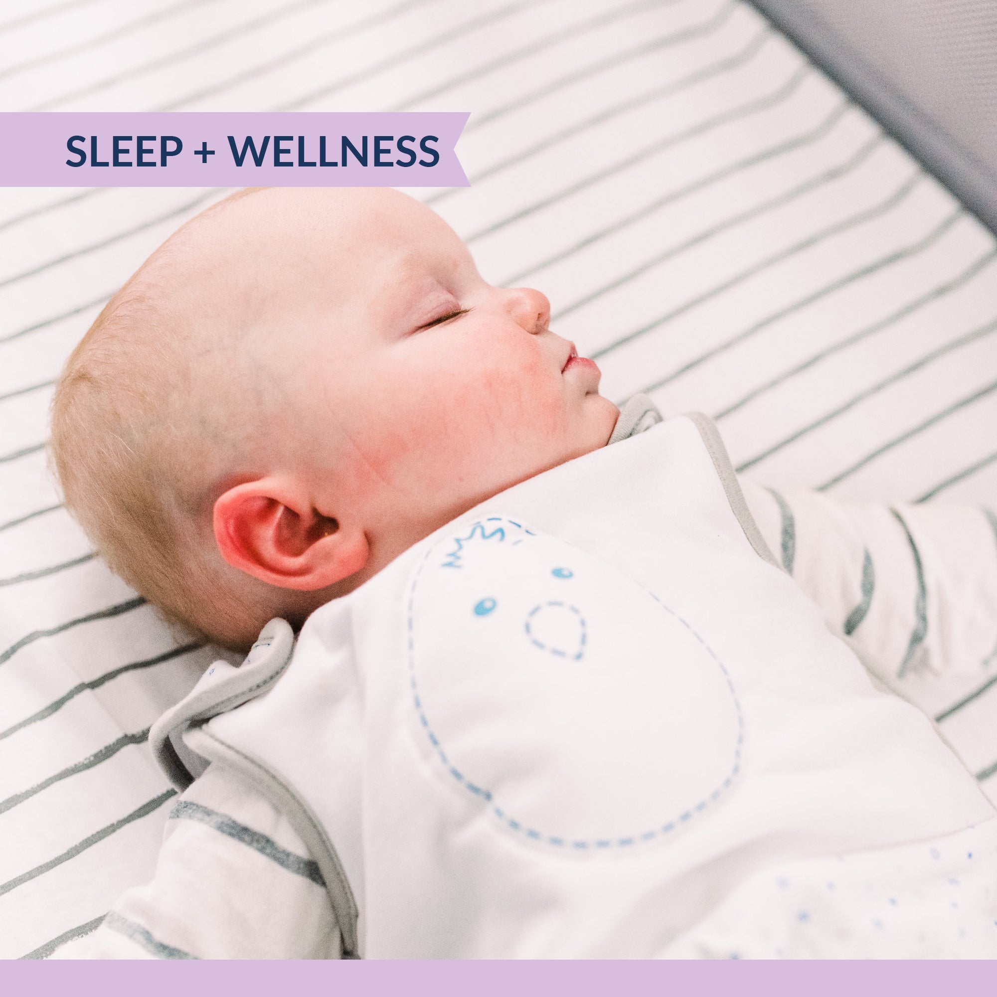 7 Month Old Sleep Schedule